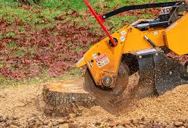 Best Lawn Drainage Solutions  in Hauppauge, NY